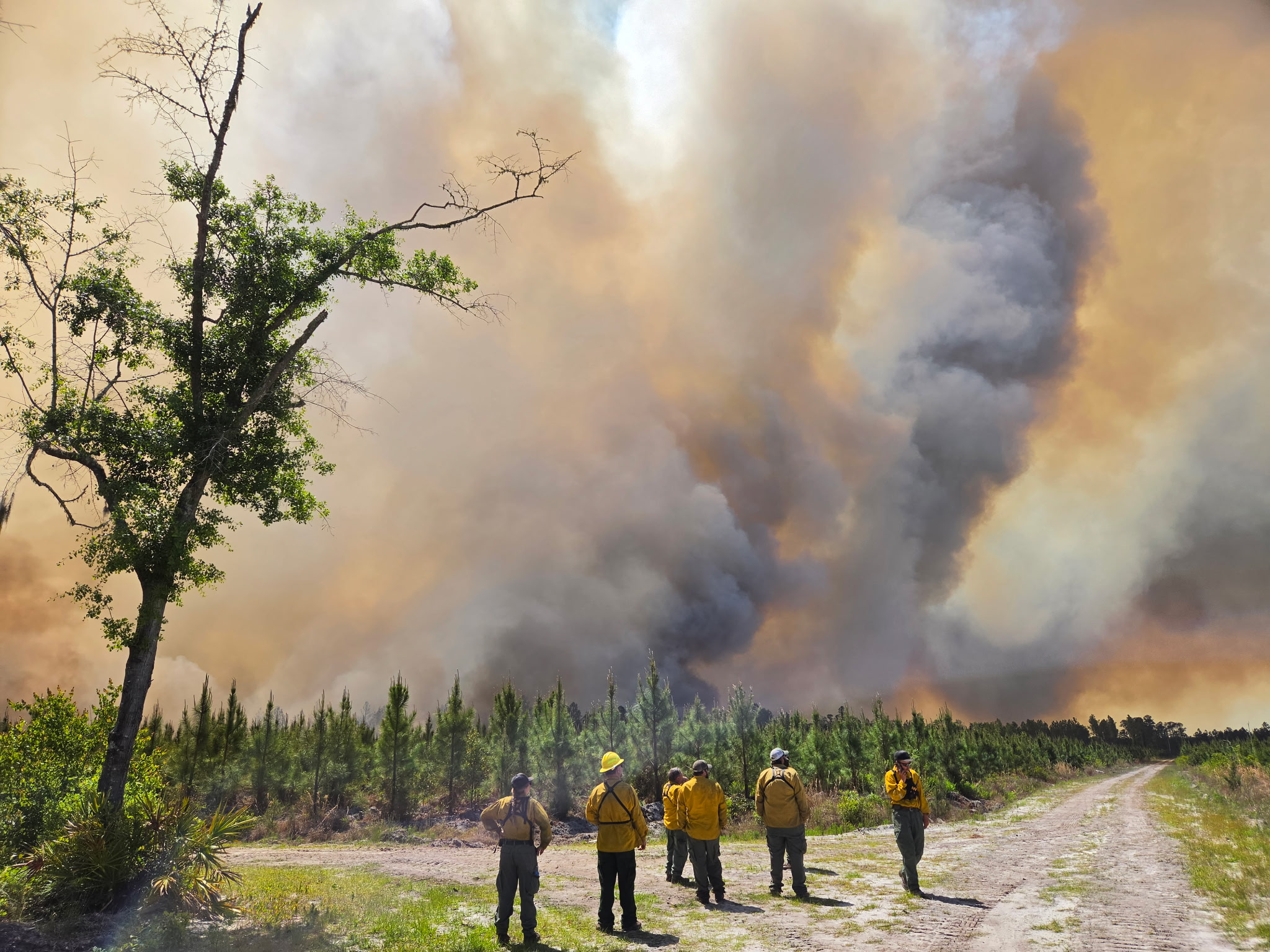Firefighters in yellow gear watching massive wildfire smoke plume — South Georgia