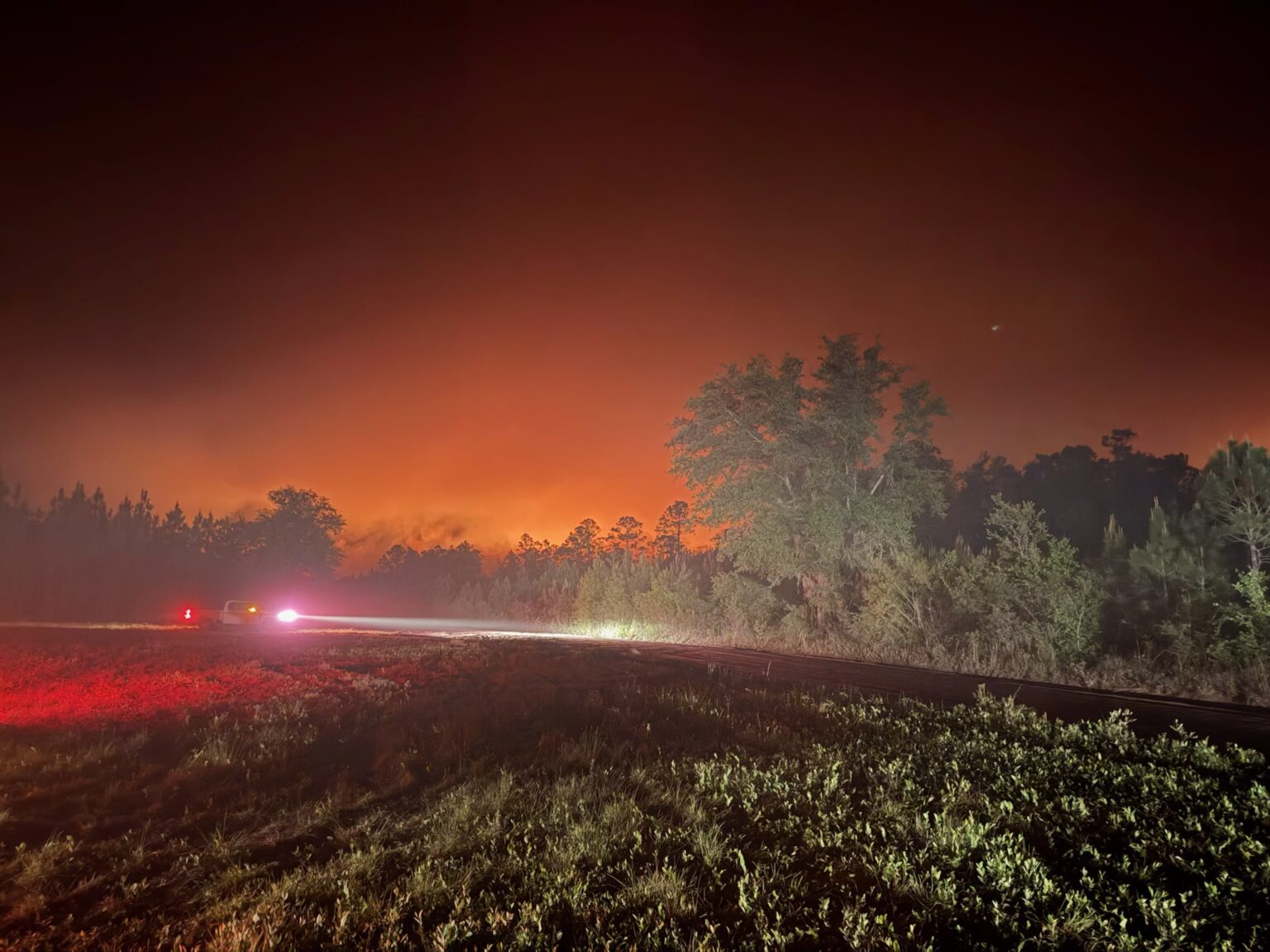 Wildfire smoke and flames advancing through Georgia pine forest